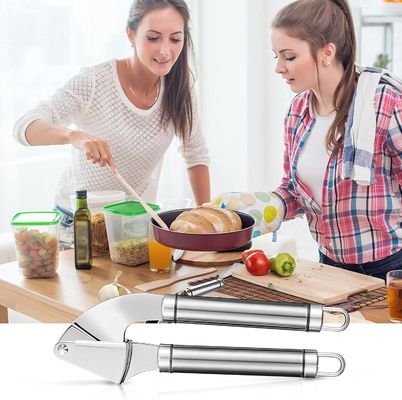 Maquinaria para triturar el ajo y las hortalizas Pimienta, jengibre, escurridor, herramienta de trituración de mano Accesorios de cocina