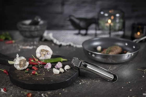 Grateador de cocina multi prensado de ajo de acero inoxidable caliente para dispositivos de cocina sostenibles