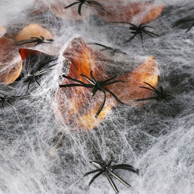 Poliéster Tejido de araña hilo de algodón Decoración de casa embrujada para aderezos de fiesta de Halloween