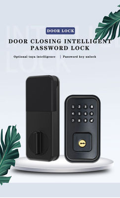 Asegure su puerta con bloqueo inteligente digital con batería y TTlock Tuya WiFi App