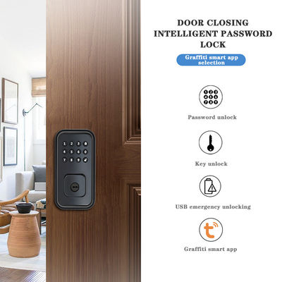 Asegure su puerta con bloqueo inteligente digital con batería y TTlock Tuya WiFi App